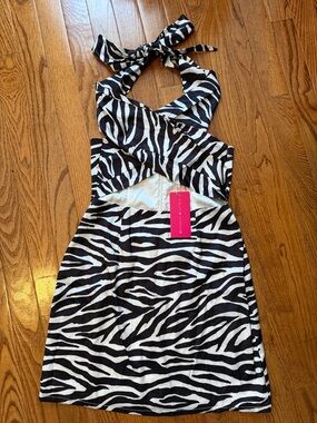 Beginning Boutique Black & White Zebra Halter Dress